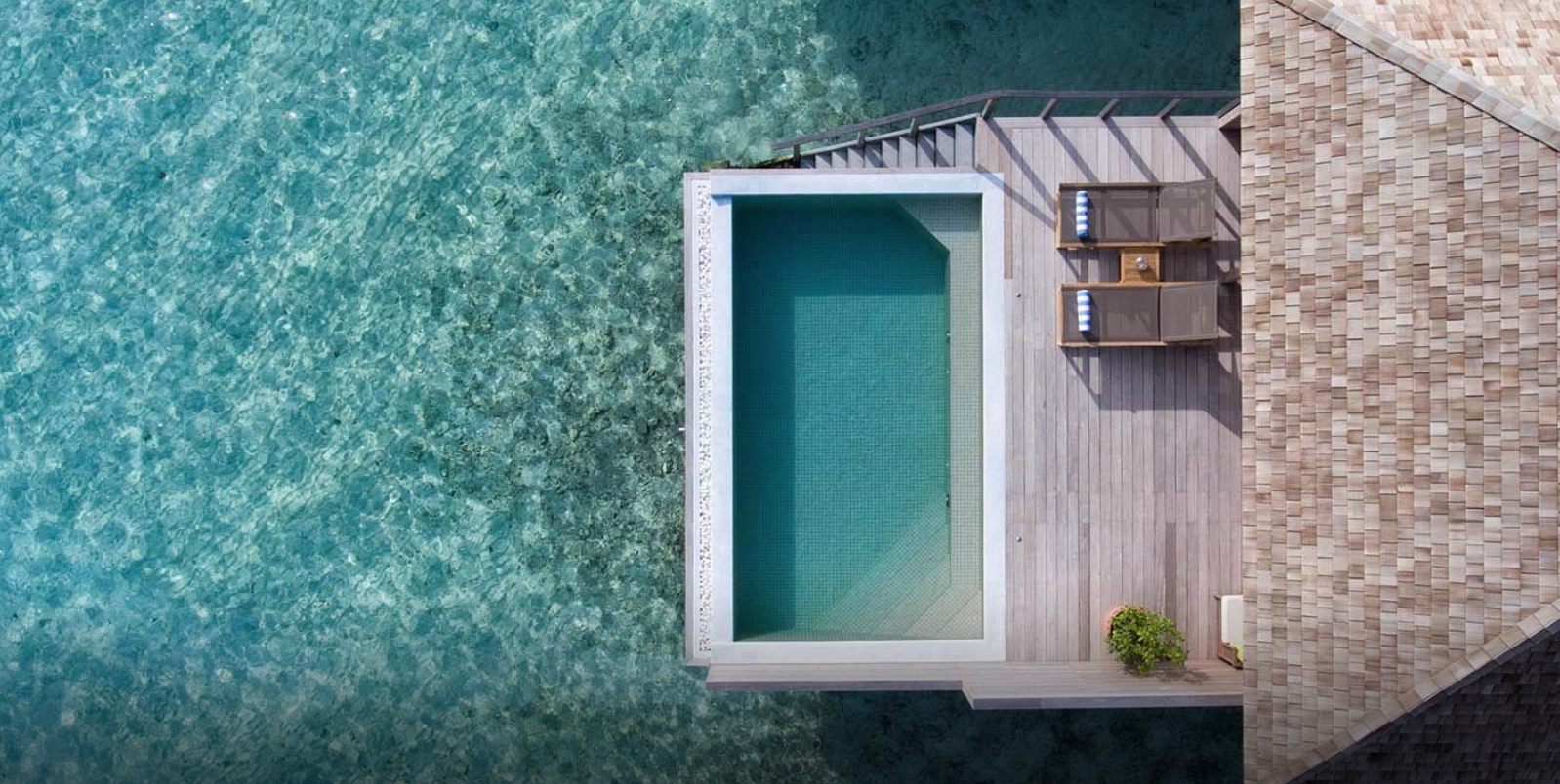 Ocean Pool Villa · the deck